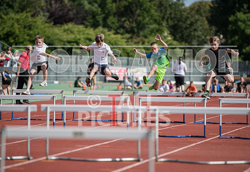 XMA Junior School Champ-28 - XMA JUNIOR SCHOOLS INDIVIDUAL CHAMPIONSHIPS 2017