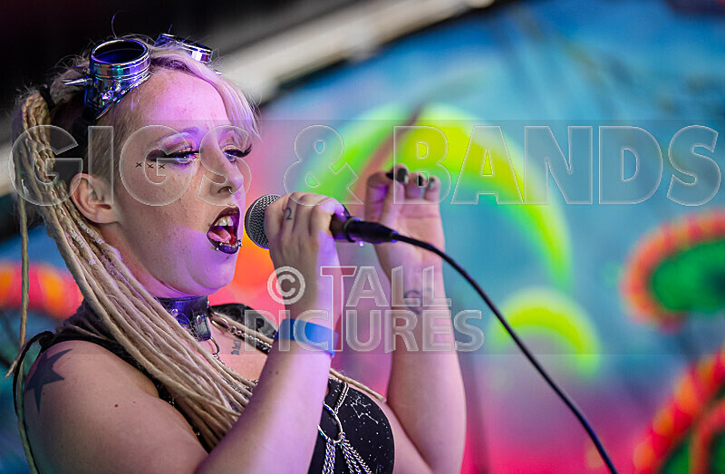 Borderline Puppets-2 - BORDERLINE PUPPETS