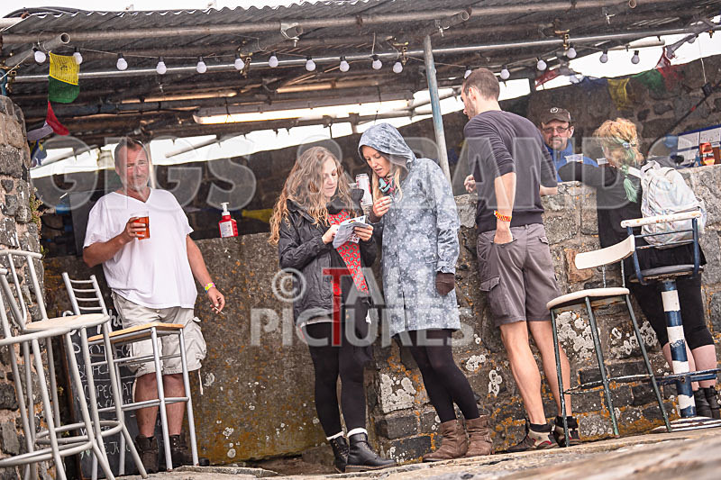 Vale Earth Fair 2018_SCENE-67 - VALE EARTH FAIR 2018_THE SCENE