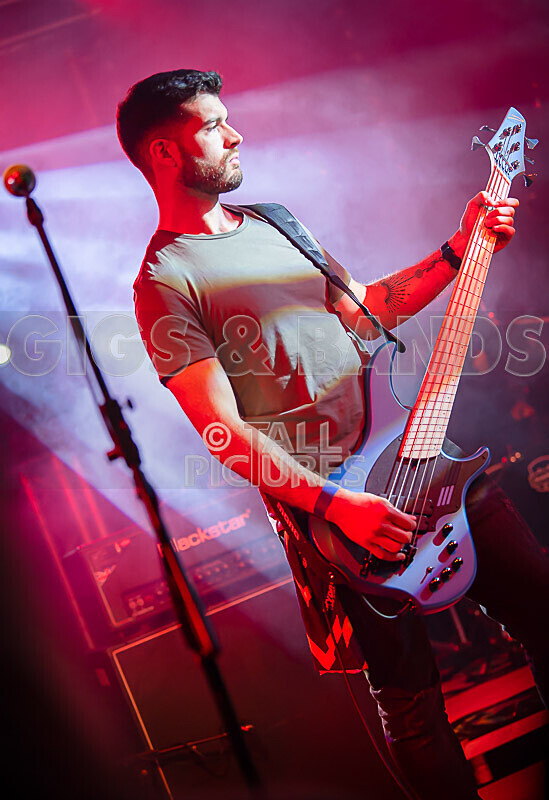 Demise of Sanity-242 - DEMISE OF SANITY