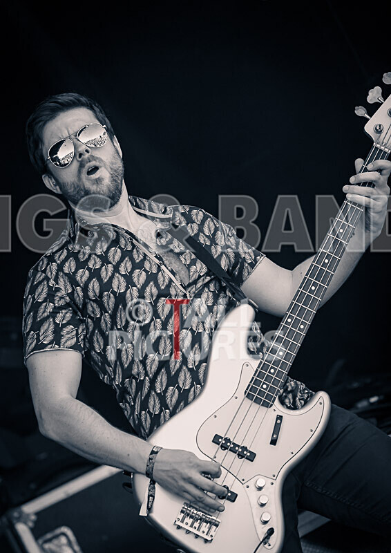 Stereotonics-13 - STEREOTONICS