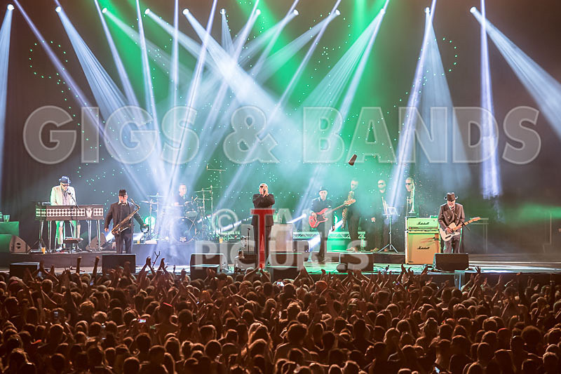 Madness-56 - MADNESS