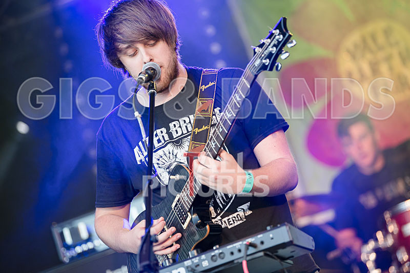 Vale Earth Fair 2017_PRESS EDIT-29 - VALE EARTH FAIR 2017_THE PRESS EDIT