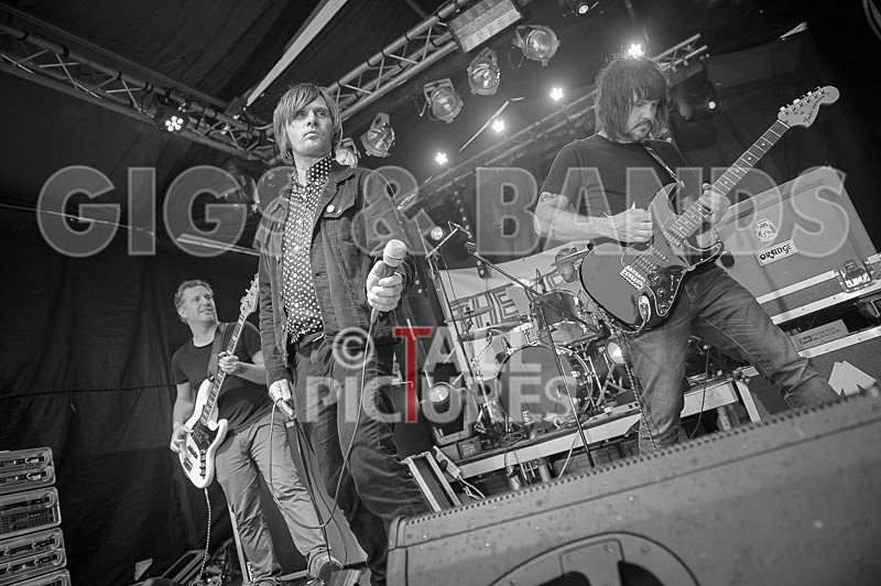 The Cryptics-124 - THE CRYPTICS