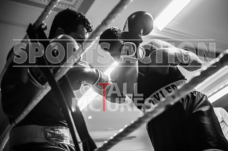 BOUT-9 Henrique Jesus v Tyler Stretch-33 - BOUT-9 Henrique Jesus v Tyler Stretch