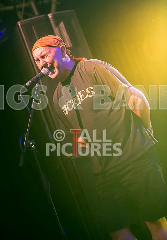 Spunge-101 - [spunge]