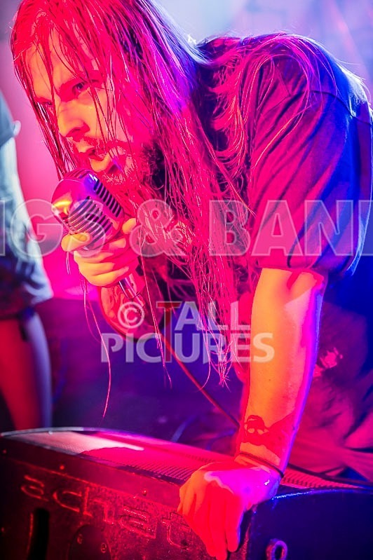 Stone Em All-47 - STONE EM ALL