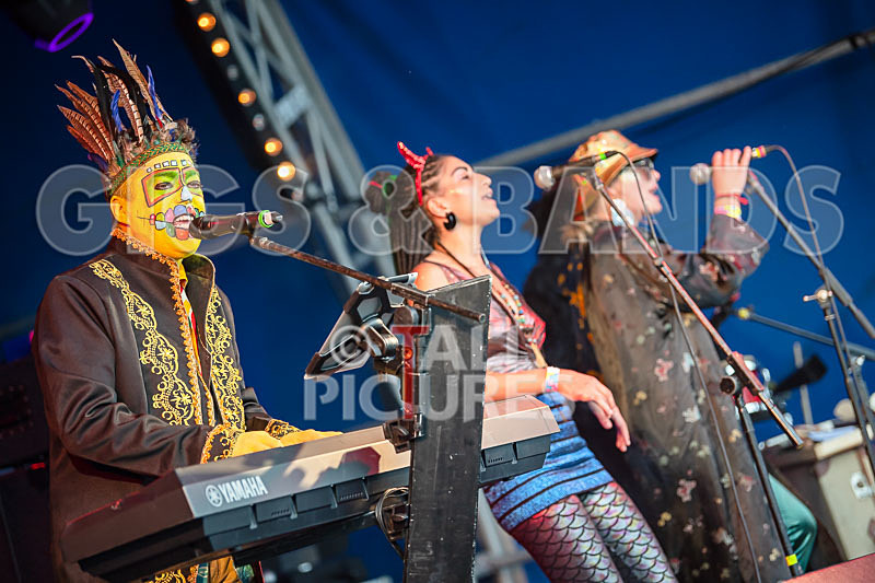 The Crack-61 - THE CRACK