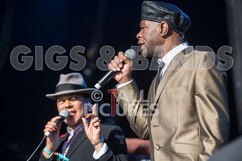 The Selecter-71 - THE SELECTER