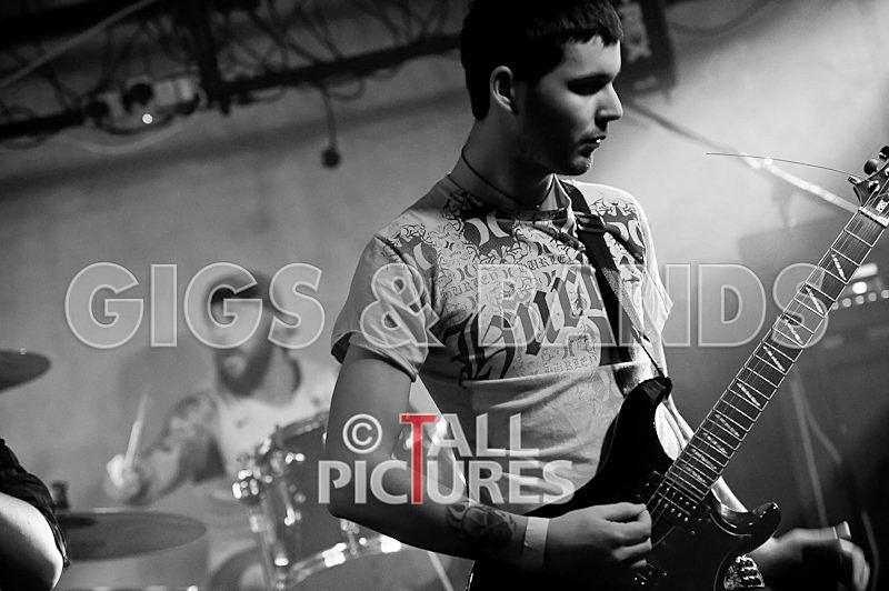 Brutus Stonefist-103 - BRUTUS STONEFIST at RoA-5