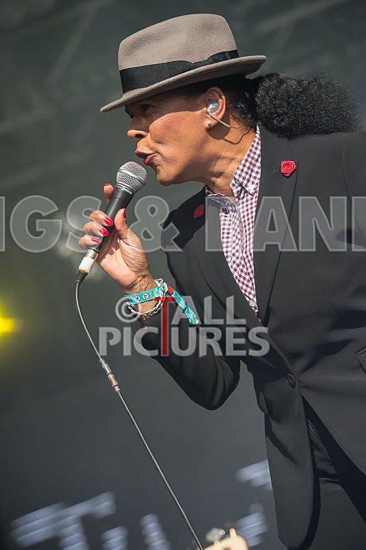 The Selecter-53 - THE SELECTER