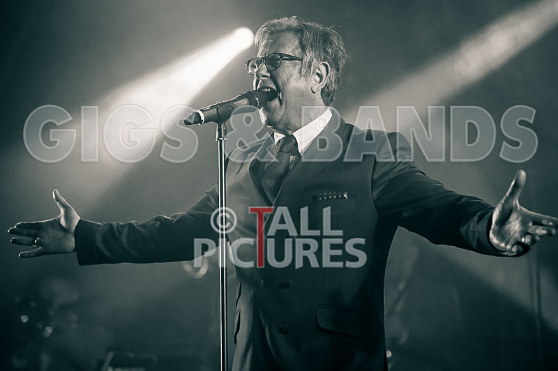 King Rat and the Soul Cats-190 - KING RAT AND THE SOUL CATS