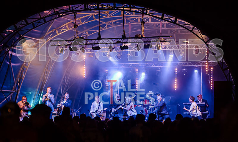 King Rat and the Soul Cats-308 - KING RAT AND THE SOUL CATS