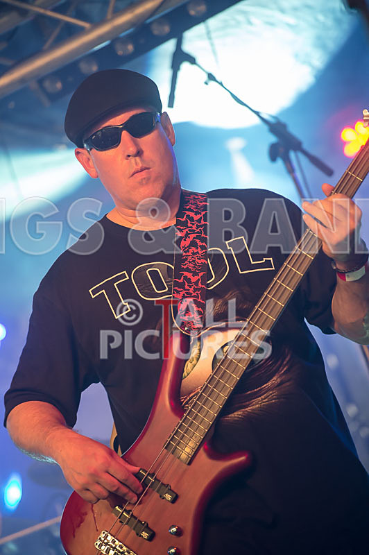 Stalk the Lantern-6 - STALK THE LANTERN