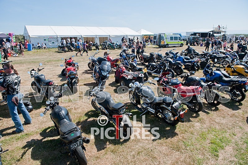 Greenman Scene-14 - GREENMAN ATMOSPHERE in 2010
