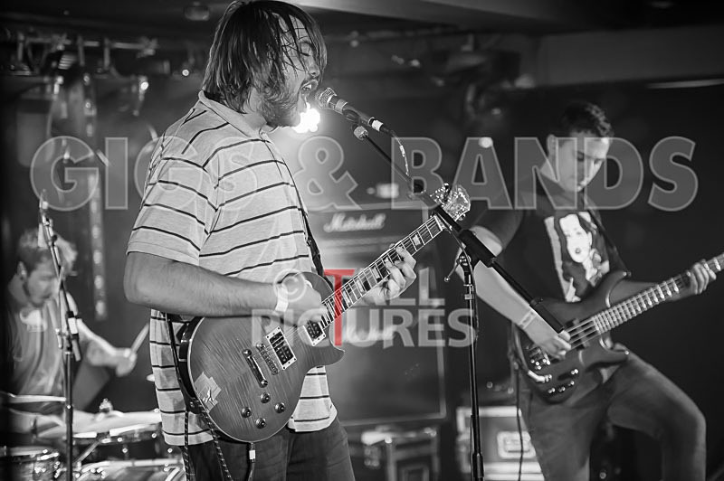 To the Woods-176 - TO THE WOODS