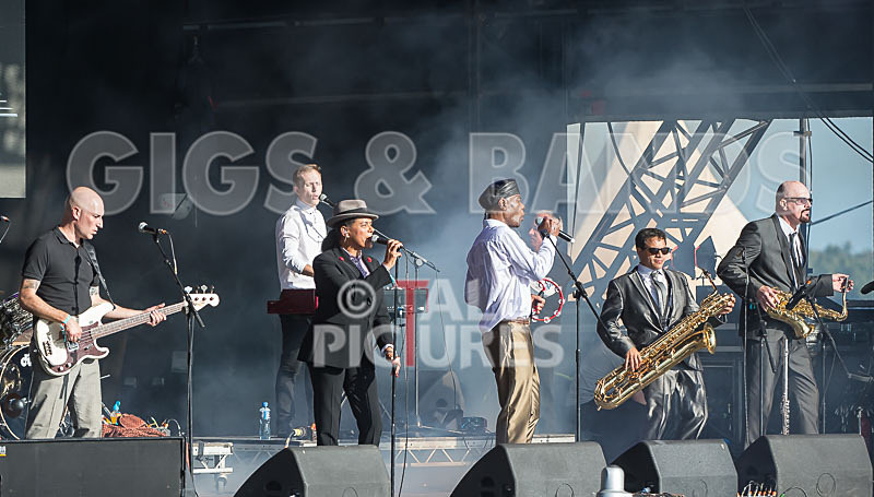The Selecter-58 - THE SELECTER