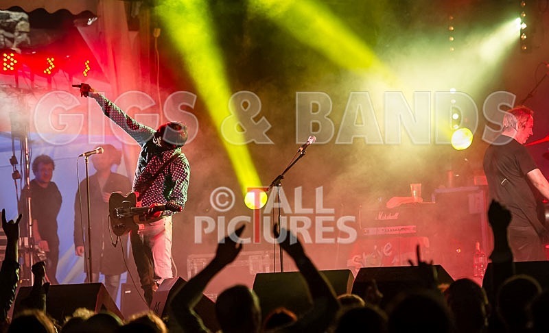 The Buzzcocks-50 - BUZZCOCKS