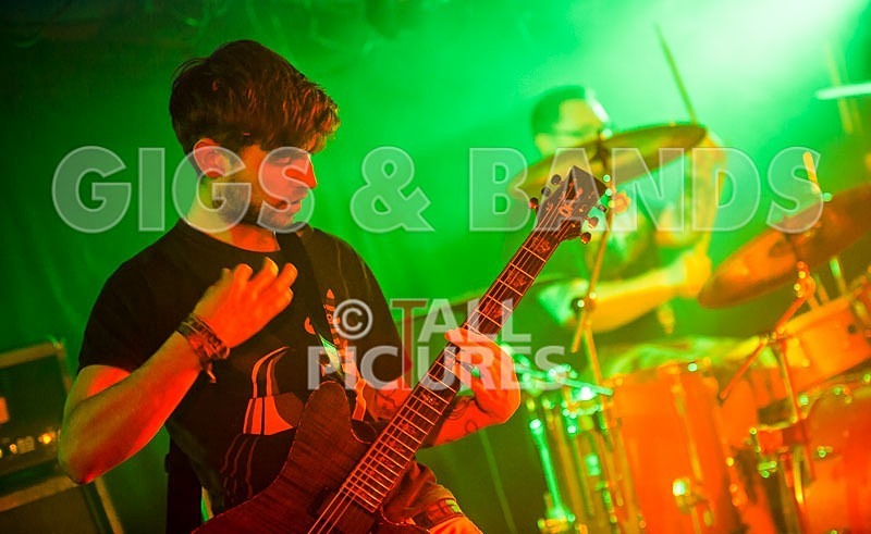 From Bedrooms to Backseats-115 - FROM BEDROOMS TO BACKSEATS