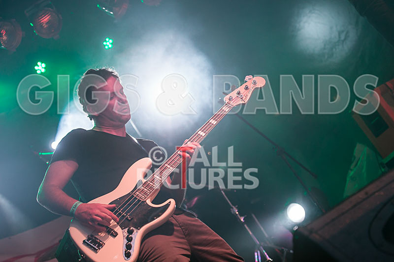 The Cryptics-115 - THE CRYPTICS