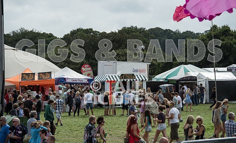 Jersey Live_2012_Good Vibes-47 - THE GOOD VIBES....