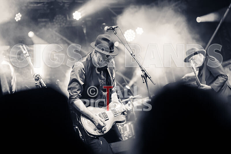 Ruts DC-39 - RUTS DC