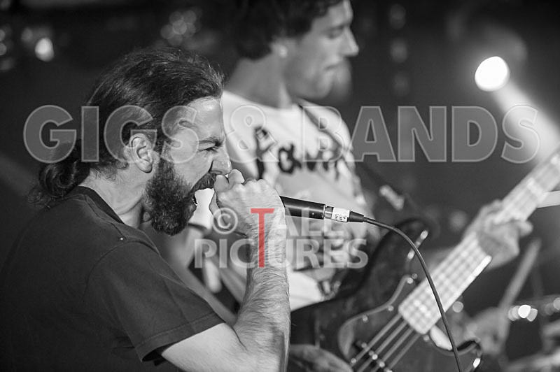 To the Woods-242 - TO THE WOODS