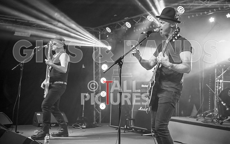 Peppered Ant Legs-241 - PEPPERED ANT LEGS