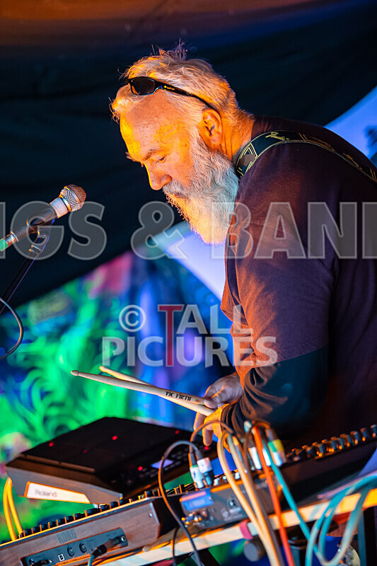 Its Own Animal-3 - ITS OWN ANIMAL