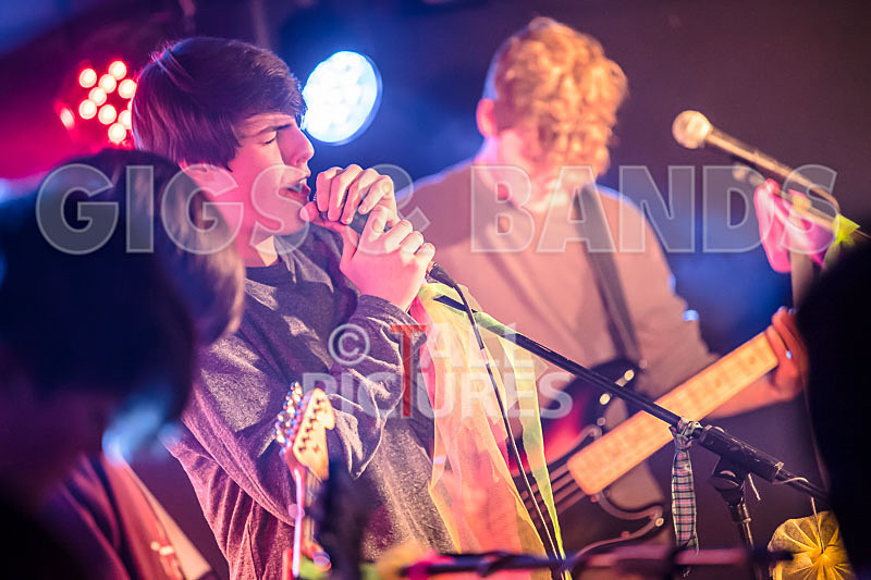 Isle Stone-44 - ISLE STONE