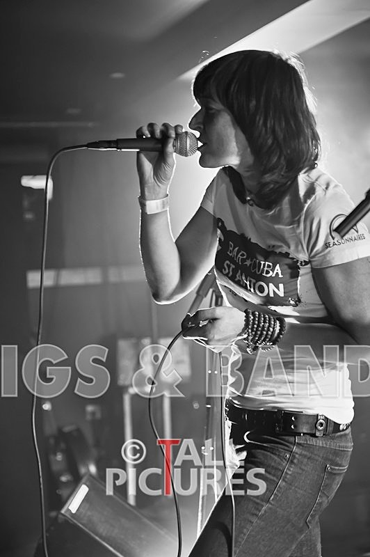 The Nelkons-85 - THE NELKONS