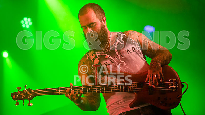 Static Alice-539 - STATIC ALICE