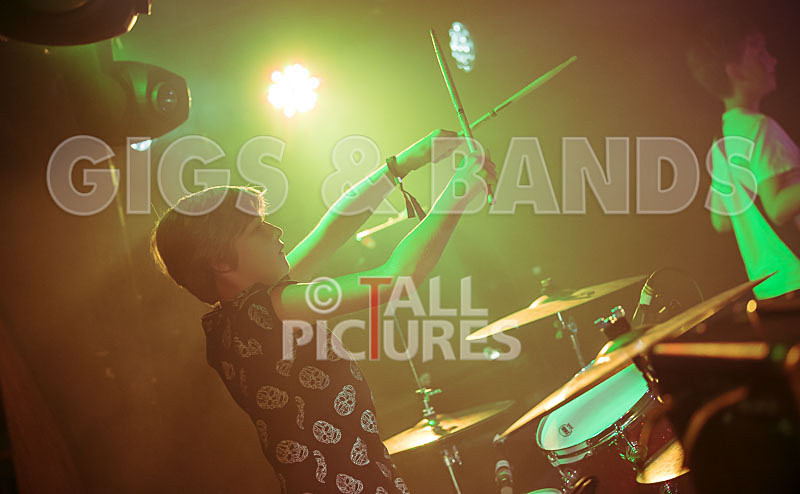 The Lemmings-7 - THE LEMMINGS