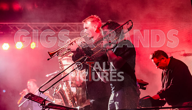 Sons of the Desert-288 - SONS OF THE DESERT