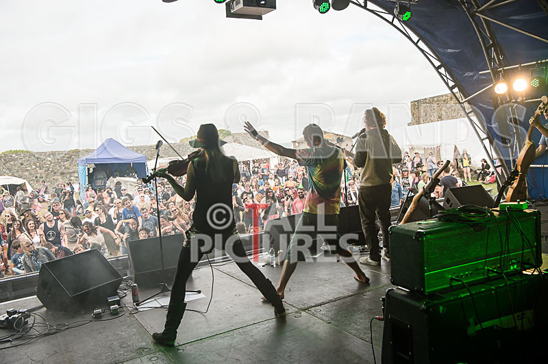 Buffalo Huddleston-450 - BUFFALO HUDDLESTON