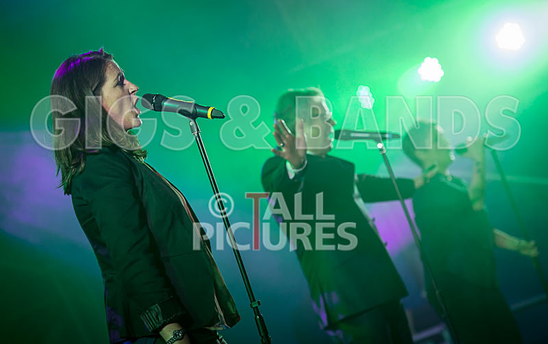 King Rat and the Soul Cats-230 - KING RAT AND THE SOUL CATS