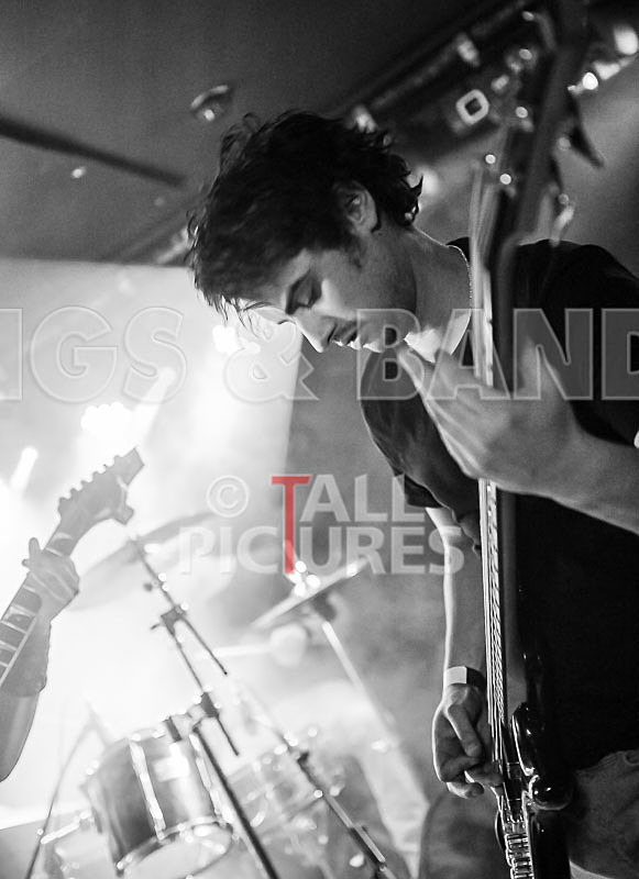 Stone Em All-159 - STONE EM ALL