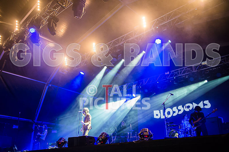 Blossoms-53 - BLOSSOMS