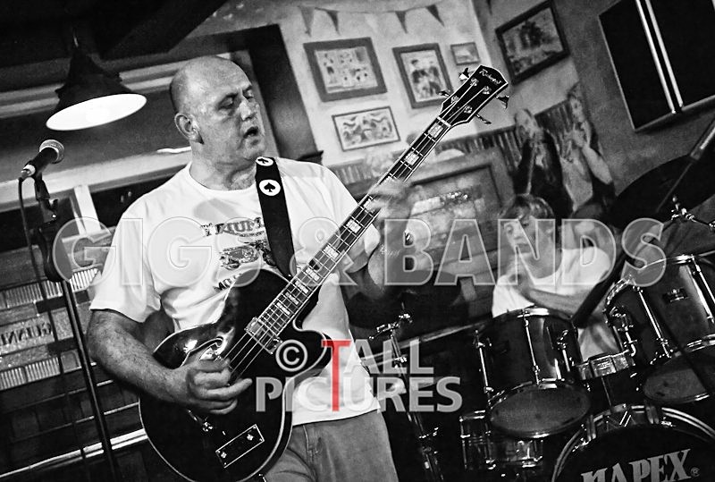 Wild Card-34 - WILD CARD