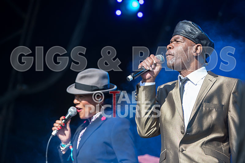 The Selecter-73 - THE SELECTER