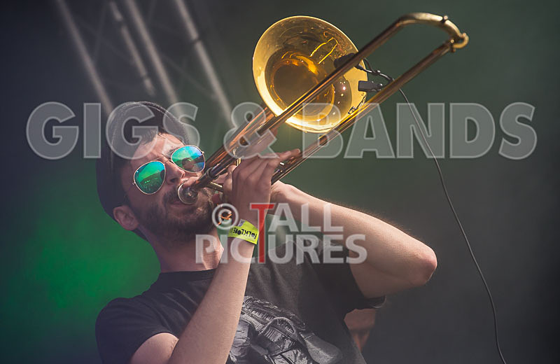 Pirate Party Brigade-33 - PIRATE PARTY PARADE