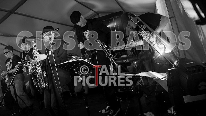 Sons of the Desert_Lib Day_2012-43 - SONS OF THE DESERT