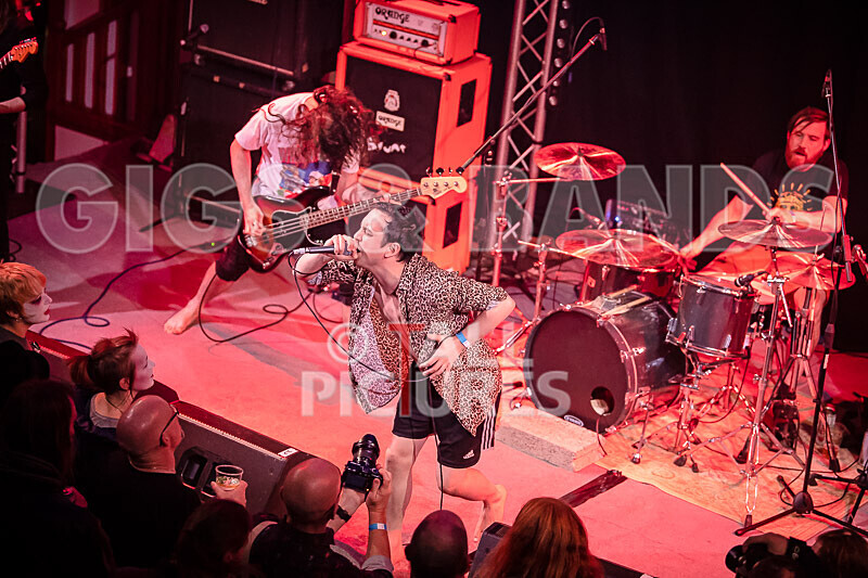 Pigsx7-18 - PIGS PIGS PIGS PIGS PIGS PIGS PIGS