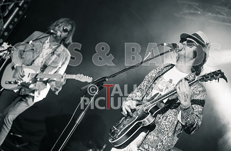 Surfin Birds-29 - SURFIN' BIRDS