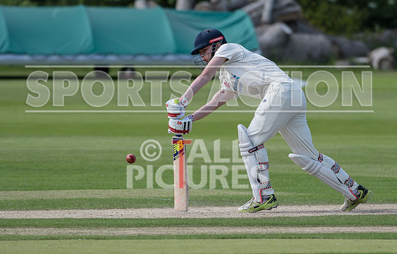 Cricket at KGV_27-05-2017-21 - CRICKET AT KGV_27-05-2017
