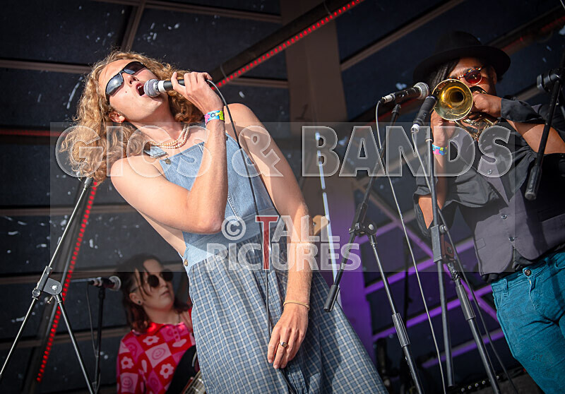 The Pips-135 - THE PIPS