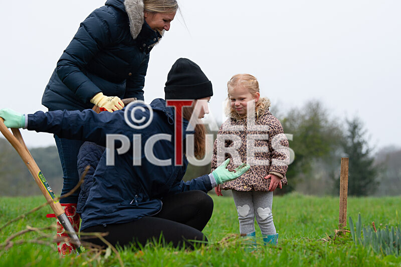 Trees for Life planting-6 - GUERNSEY TREES FOR LIFE PLANTING_2020