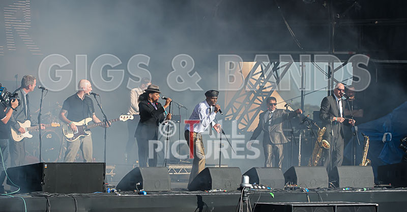 The Selecter-46 - THE SELECTER