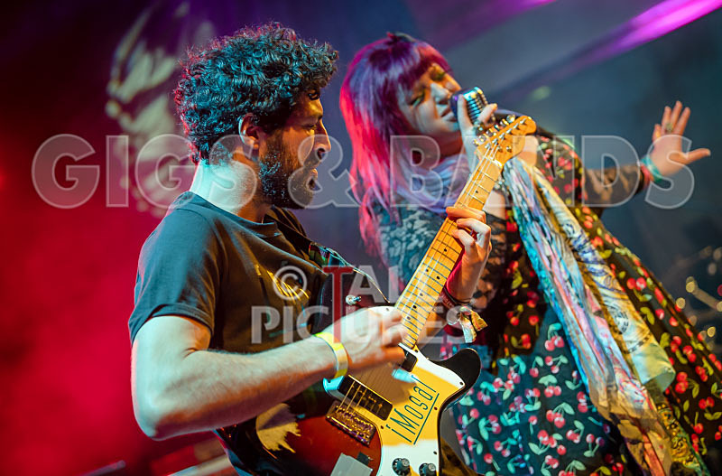 Static Alice-800 - STATIC ALICE