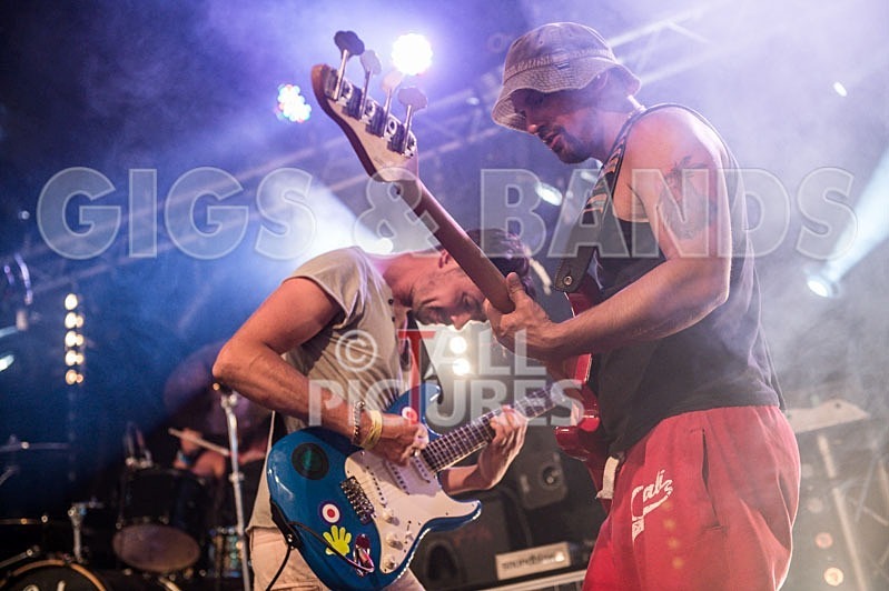 Chaos 2013_Harlequin Knights-30 - HARLEQUIN KNIGHTS